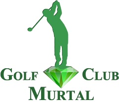 Logo Logo